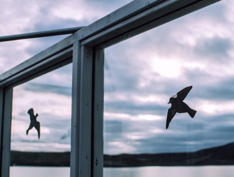 Aufkleber gegen Vogelkollisionen auf dem Fensterglas. Dunkle Berge, bewölkter Himmel und grauer See im Hintergrund